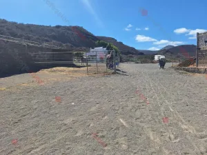 30.000 m2 de libertad, naturaleza e inversión en el corazón de Gran Canaria