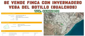 Invernadero en producción Sotillo