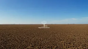 70 hectareas tierra labor regadío