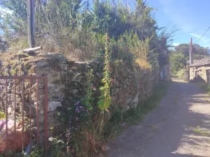 Parcela Urbana y Rusticas