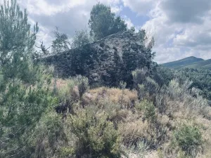 46721 Mtrs  de Terreno olivares