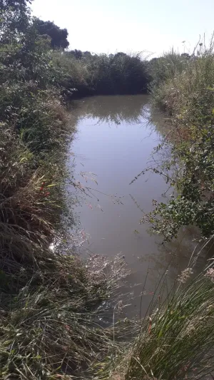 Venta de terrenos