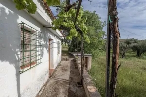 Finca rústica con casa de aperos y espectaculares vistas en Monachil