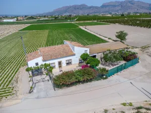 Finca en Orihuela