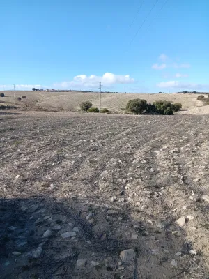 Finca Rustica en Pedro Martinez-Alamedilla