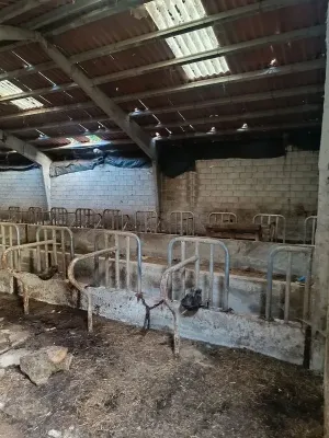 Nave ganadera de 750 m² en Lena (Asturias)