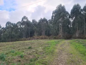 venta de finca uso forestal en culleredo