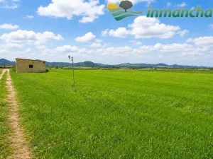 finca en venta 166 has. labor viña riego