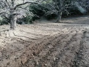 Cortijo Nuevo Bayarcal