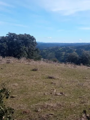 FINCA DE DEHESA DE 30 HECTÁREAS EN PLENA SIERRA MORENA (CORDOBA)