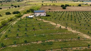 ^**^FINCA AGRÍCOLA Y DE RECREO EN TOLEDO – 17 HECTÁREAS CON MÚLTIPLES POSIBILIDADES DE DESARROLLO^**^