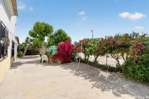 Finca rústica en Orihuela - Alicante