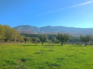 Finca rustica en Hervás