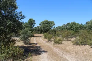 Finca exclusiva en Madrid Ref. 1549