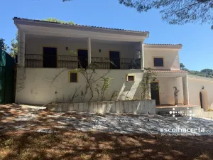 Quinta unica em pleno coração da Arrabida