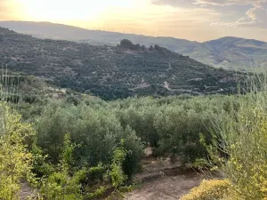 Paraje de los castillos - Restabal