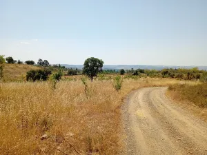 Terreno de Amendoal