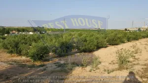 ++finca rustica en Las Torres de Cotillas++ 45.500 m. superficie parcela++