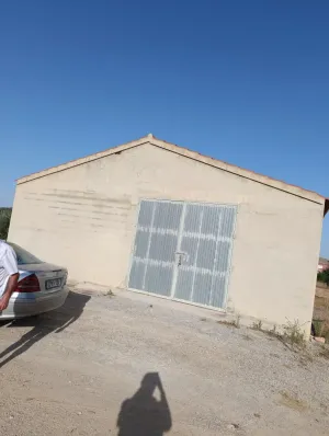 Finca rústica de 30.771 m2 con 500 almendros, 35 oliveras y almacén en Bullas