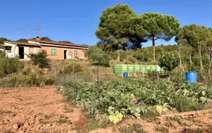 Finca Rústica con Amplias Posibilidades
