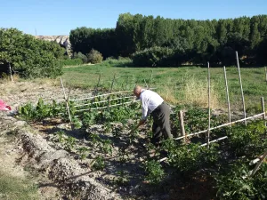 Cortijo El Genovet