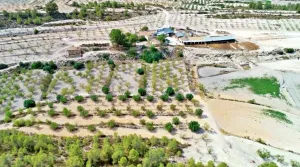 HACIENDA RUSTICA CON CASA CORTIJO - MORATALLA