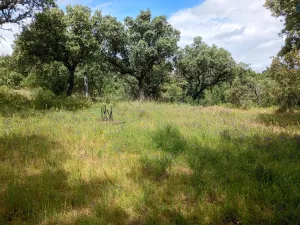 Venta de parcela urbana 4100M2