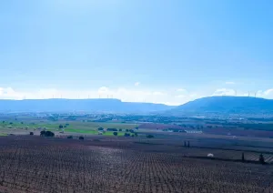 OPORTUNIDAD DE INVERSIÓN AGRÍCOLA
