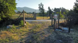 Finca de regadío con gran potencial