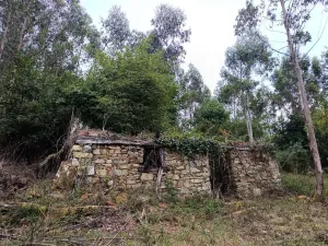 Finca en Pravia