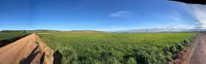 FINCA AGRICOLA  184 HC (60 DE REGADIO)