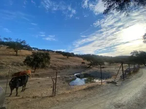 finca ganadera en el término de la nava,