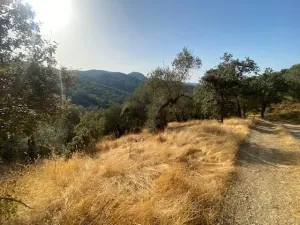FINCA EN LA NAVA