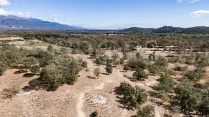 Dehesa para construir en Sierra de Gredos