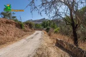 Terreno RÚSTICO con cortijo en Cogollos Vega