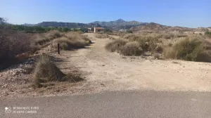 PARCELAS rústicas en Agost.