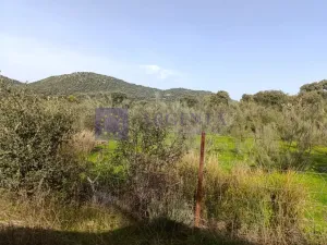 FINCA  110 HECTÁREAS EN LA ZONA DE ALCUESCAR