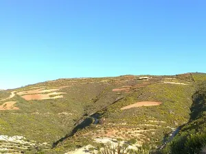 Finca con catorce hectareas.