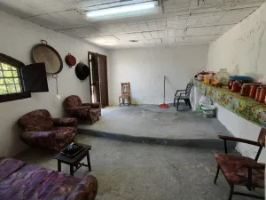 FINCA DE RECREO Y OLIVAR