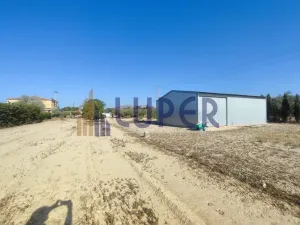 SE VENDE FINCA RÚSTICA A TAN SOLO 5 MINUTOS DE SAN VICENTE