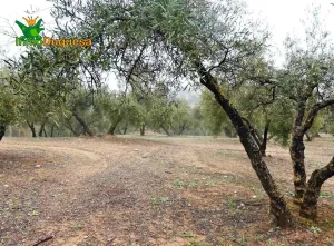 Finca rústica en Peligros - Sierra de la Alfaguara.
