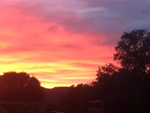 Finca con vivienda y inst.ecuestres