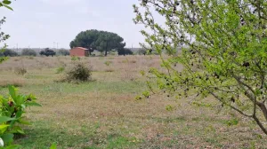 Finca rústica en venta en Constanti