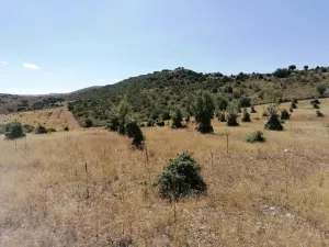 Finca agrícola ganadera ecológica renovables