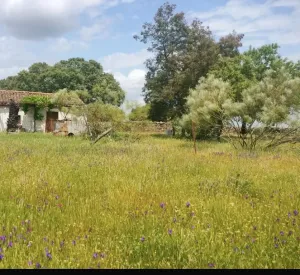 Preciosa finca, buen acceso