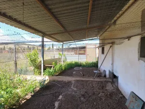 Finca Rustica granja de gallinas ecológicas