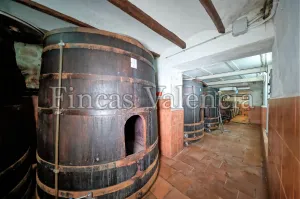 BODEGA DE AUTOR EN PRODUCCIÓN. CASI 6 HECTAREAS DE VIÑEDOS