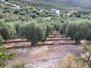 Paraje de los castillos - Restabal