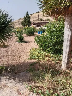 🌿 Exclusiva Finca en Venta en Cruz de Tea – Vive la auténtica esencia de Tenerife