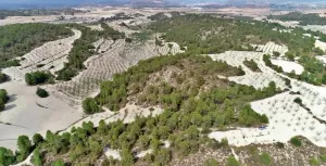 HACIENDA RUSTICA CON CASA CORTIJO - MORATALLA